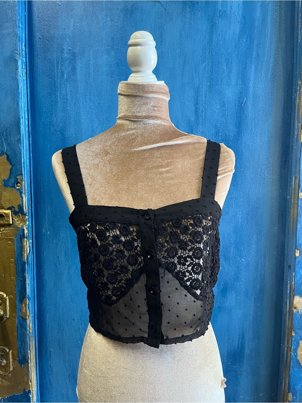 Millau Black Lace Sheer Cropped Bandeau Top